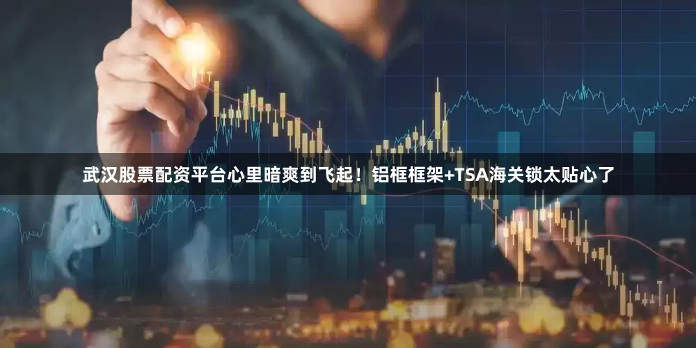 武汉股票配资平台心里暗爽到飞起！铝框框架+TSA海关锁太贴心了