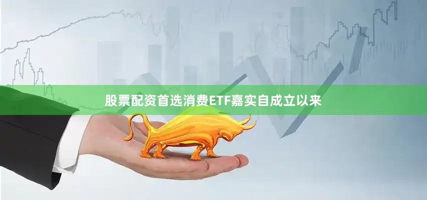 股票配资首选消费ETF嘉实自成立以来