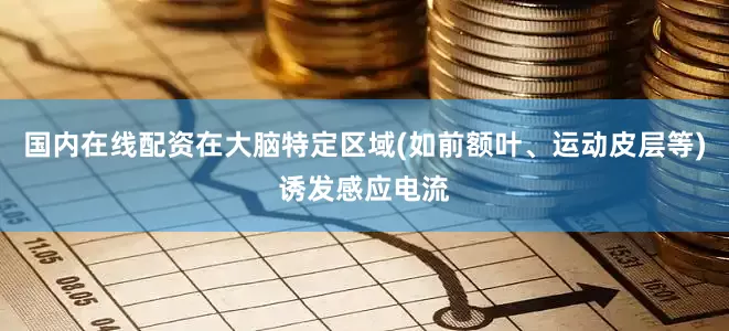 国内在线配资在大脑特定区域(如前额叶、运动皮层等)诱发感应电流