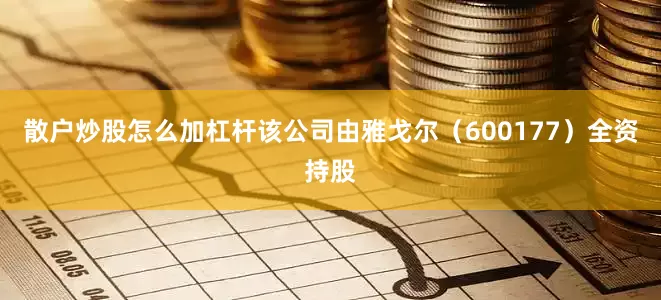 散户炒股怎么加杠杆该公司由雅戈尔（600177）全资持股