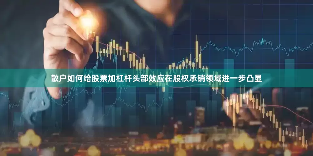 散户如何给股票加杠杆头部效应在股权承销领域进一步凸显
